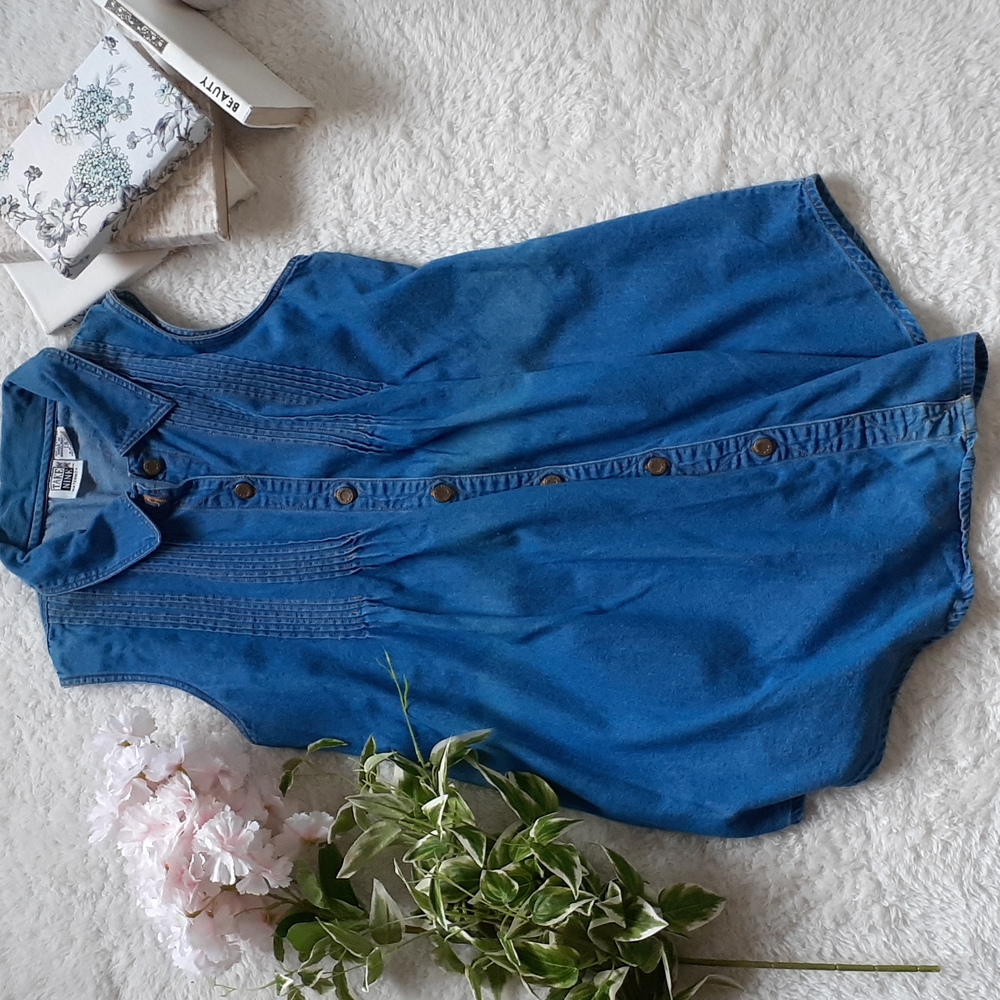 Take Nine Denim Button Down Maternity Top